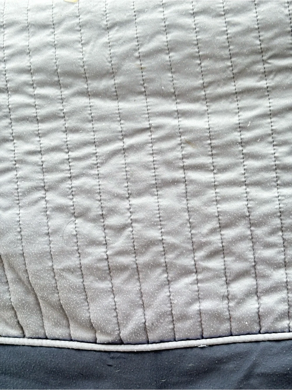 Better Homes And Gardens Dusty Blue Embroidered Quilt